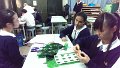 IMAG0257