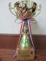 第3屆區總監盃深資童軍錦標賽-冠軍