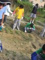 IMG_2489