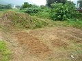 除草後