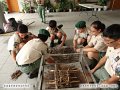 DSC04972
