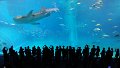 20160627_152638