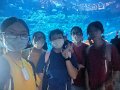 IMG-20230721-WA0019