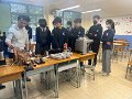 IMG_9523