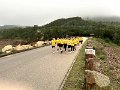IMG_1385