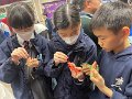 IMG_0237